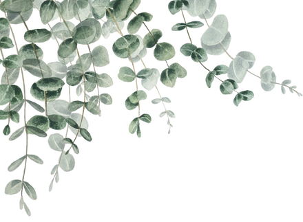 Watercolor greenery eucalyptus frame for invitations